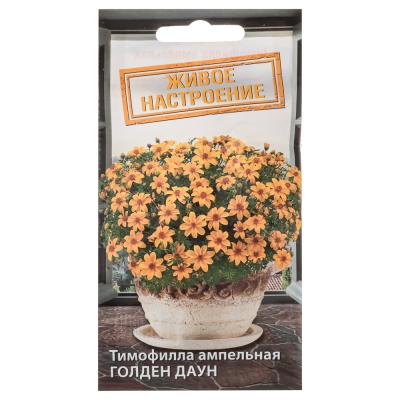 Timophyll seeds Golden Down 30cm, 10pcs