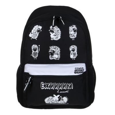 Hedgehog in the Fog Teenage backpack 40x30x15cm, 1 compartment, 4 pockets (1 on the back), padded straps, plastic