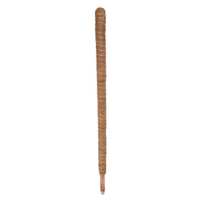 INBLOOM Plant support 80cm x 32mm, coconut fiber, wood
