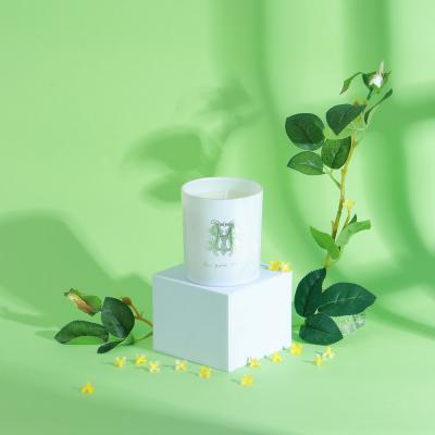Scented candle, art CM2