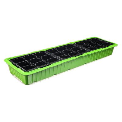 Mini-greenhouse with 3 inserts 57x18x12cm 27 cells