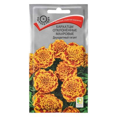 Seeds Marigold rejected terry Bicolor giant 0.4g